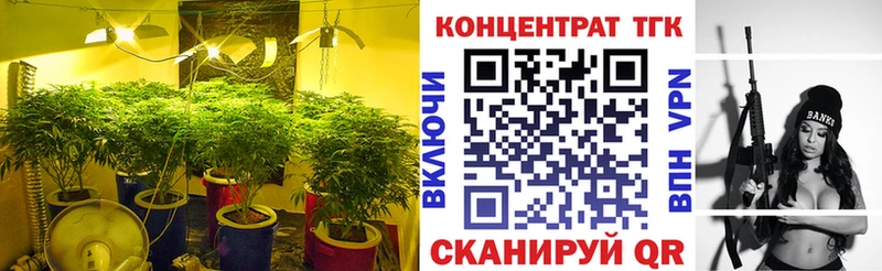 ТГК THC oil  Гай 