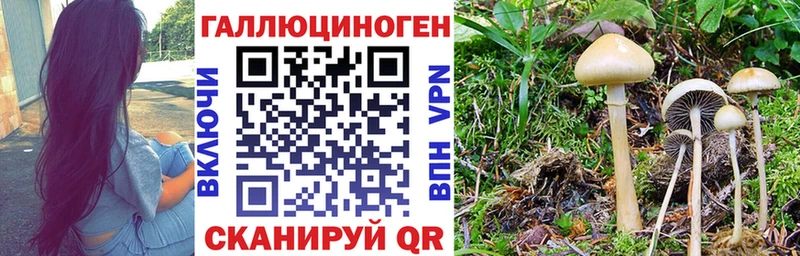 mega сайт  Гай  мориарти наркотические препараты  Галлюциногенные грибы прущие грибы 
